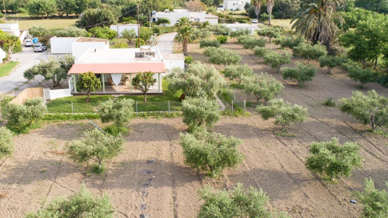 Elia Small Paradise Kos-Stadt Exterior foto